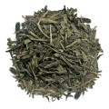 Sencha Tea Forte.jpg