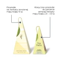 Herbata mrożona Mango Peach 5 sztuk Tea Forte TOI