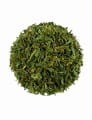Sencha (zielona herbata) 40 szt Tea Forte