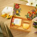 TEAFORTE_PARADIS_w01.webp