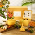 TEAFORTE_PARADIS_w08.webp