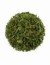 Sencha-zielona-herbata-40-szt-Tea-Forte. Herbata w piramidkach dla gastronomii.