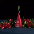 Tea Forte Kolekcja Świąteczna herbat Warming Joy. Herbata na elegancki prezent firmowy, prezent pod choinkę, prezent świąteczny